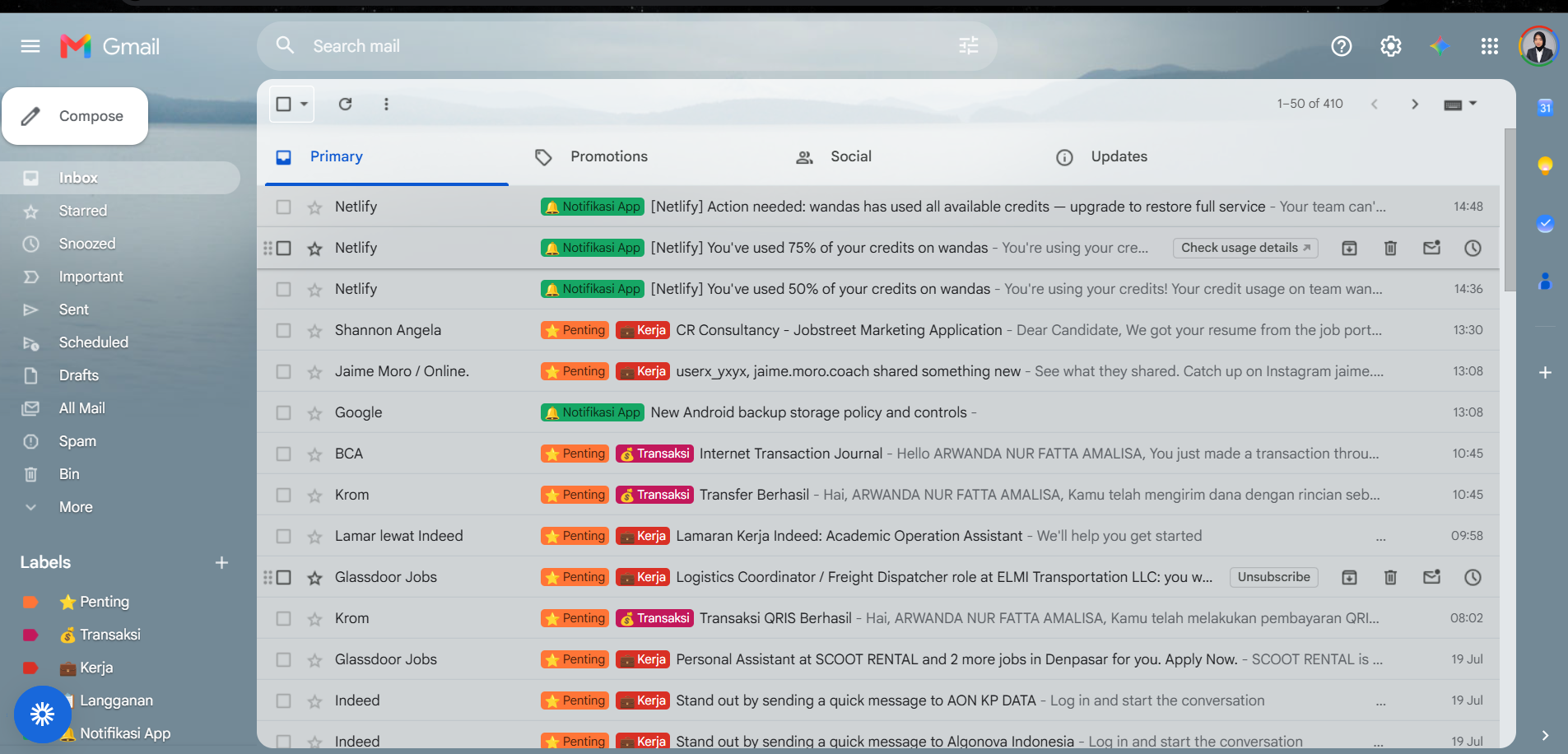 Inbox management categorization system